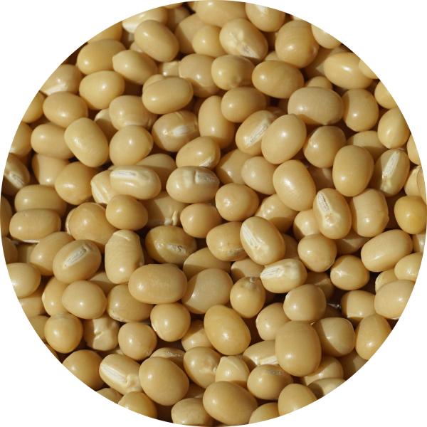 原産国：北海道産<br>       原材料：白小豆(あずき)<br>       形態：袋入り<br>       賞味期限：300日<br>       保存方法：直射日光・高温多湿を避け...