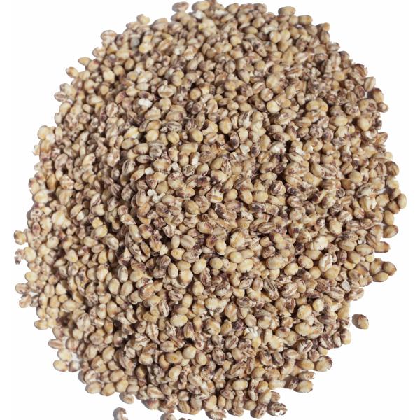 国産 もちむぎ 姫もちむぎ もち麦 モチムギ モチ麦 雑穀米 雑穀 ダイシモチ 姫もち麦