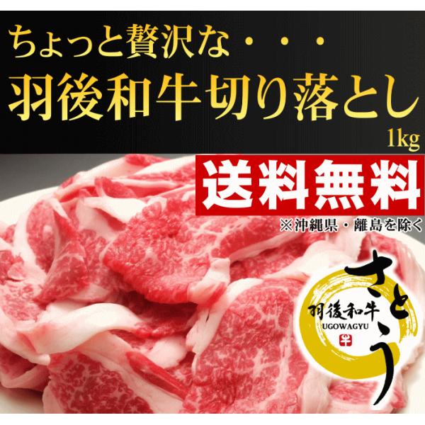 yIΕZ[zHa؂藎Ƃ@Pkg@iTOO×Qj