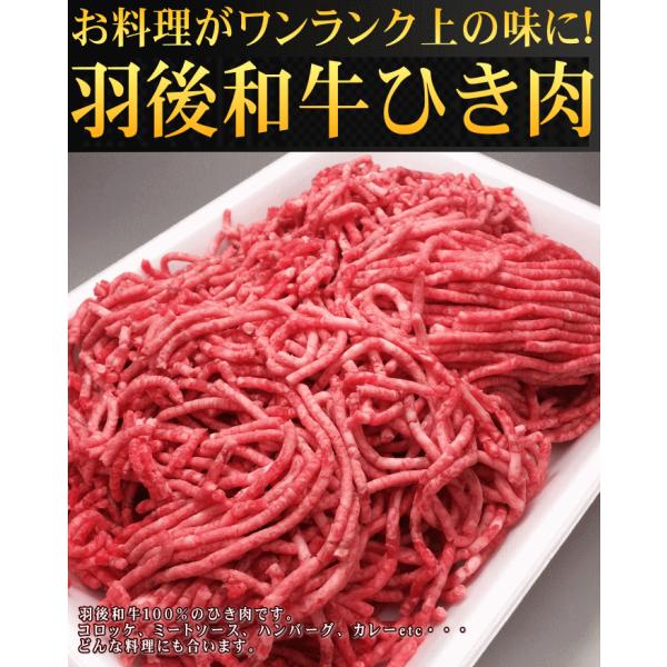 HaЂ@500@([ ͂ [ ؂藎Ƃ s낢)