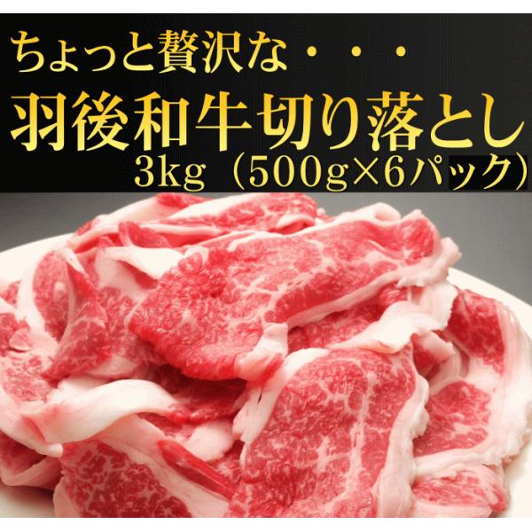yv[gtzHa؂藎Ƃ@RiTOO×UpbN+א؂PpbNv[gj