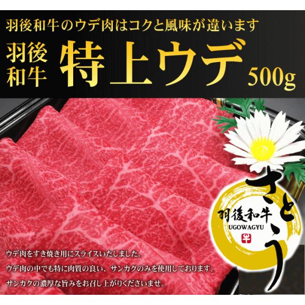 �H�c���Y�H��a���@����E�f�����Ă��p�@500��
