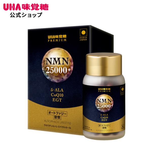 UHA味覚糖 【賞味期限2026年7月末まで】【公式】UHA味覚糖 オート 