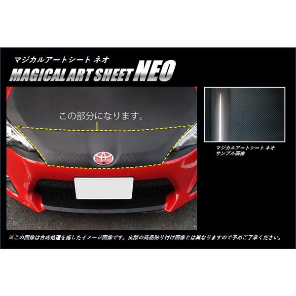 ySIz nZv J[{ }WJA[gV[gNEO tgm[YK[jbV g^ 86 n`N ZN6 (2012/04`) MSN-FNGT1