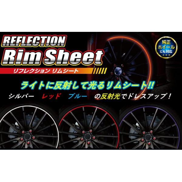 �y��`�O�z �n�Z�v�� ���[�V���O �����t���N�V���� �����V�[�g�� �s20�C���`�p�t �S3�F (�V���o�[/���b�h/�u���[) HPR-RRIM3