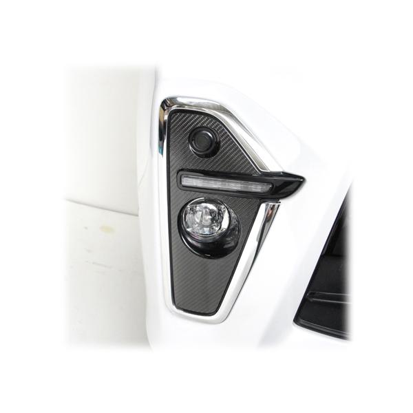 �y�{�B���������I�z �n�Z�v�� �}�W�J���J�[�{�� �s�t�H�O�����v�K�[�j�b�V���t �_�C�n�c �^���g�J�X�^�� L650S�n (2019/7�`) CFRGD-1