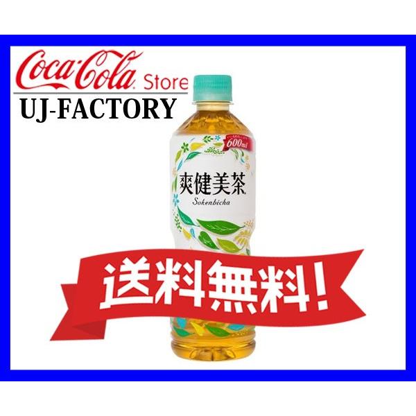 爽健美茶 【全国送料無料】 (そうけんびちゃ) 600ml PET (ペットボトル