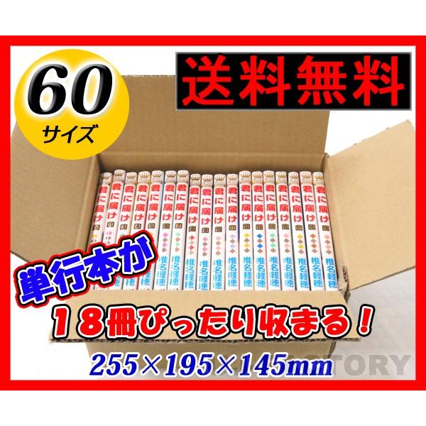 [ _{[ / 60TCY 10Zbg ʋxގgp@255×195×145mm@Ps{18@@