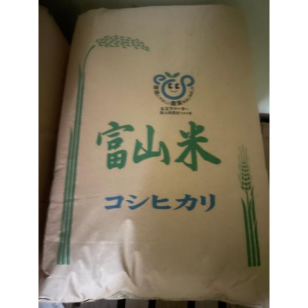 令和8年産 コシヒカリ 玄米30kg