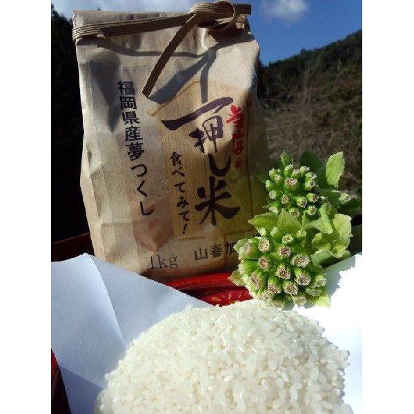 お米ヒノヒカリ無農薬米23kg福岡県筑後市産 2024年産】福岡県産ヒノヒカリ｜農薬不使用｜5kg｜ご購入後精米