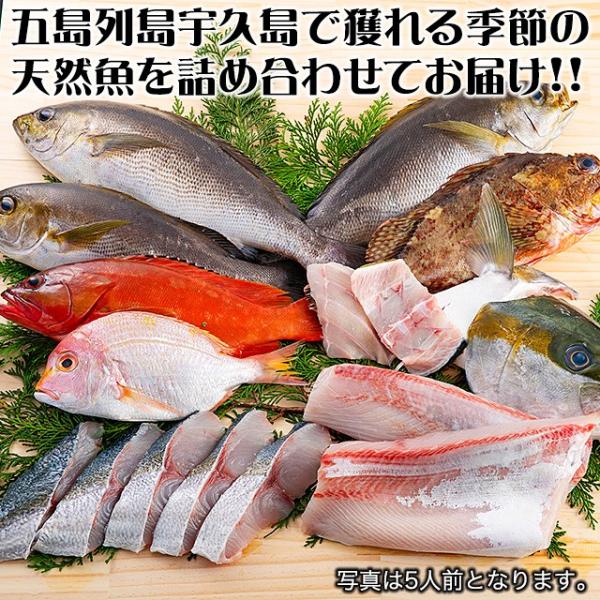 五島列島天然魚の刺身 海の宝セット5人前【送料無料】｜ukurosen