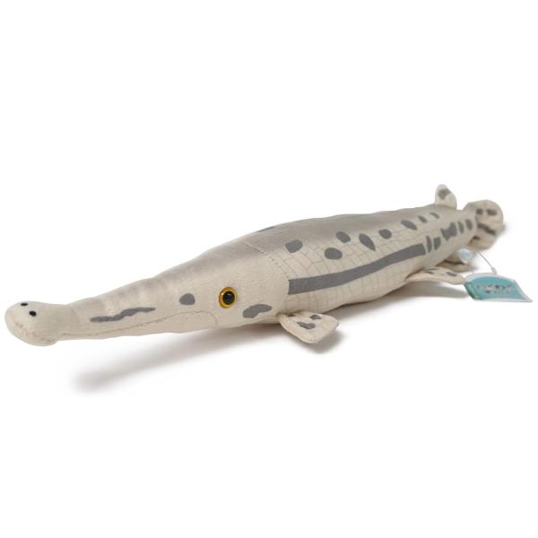 TSTアドバンス ぬいぐるみ ロングノーズガー わくわく図鑑 淡水の生きもの 水族館 9828 ベージュ 42cm ティーエスティーアドバンス