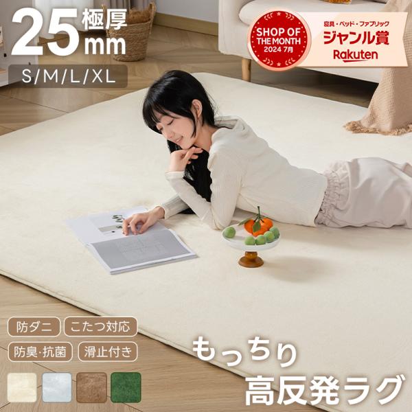 ラグ 高反発 200*250 極厚25mm フランネルラグ 厚手 高反発ラグ 抗菌防臭 防ダニ フランネル もっちり ふかふか 防音 滑り止め 床暖房対応 ホットカーペット対応