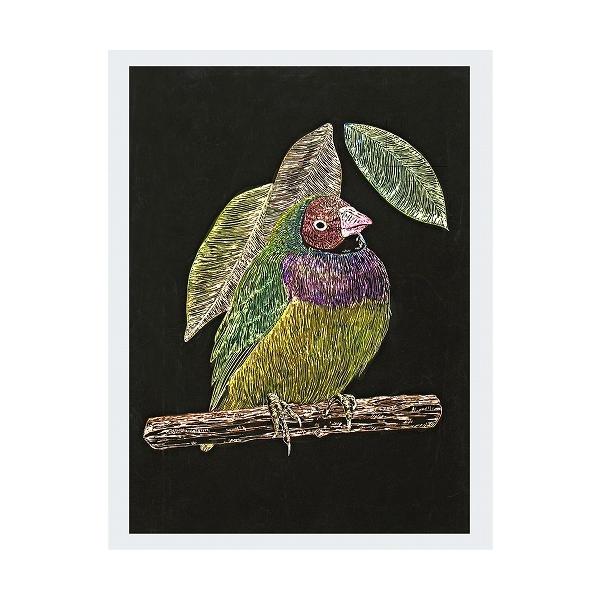 アーテック ArTec スクラッチボードEX スクレーパー