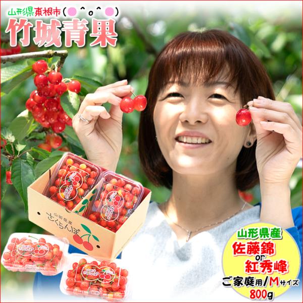 【6月中旬から順次出荷予定】山形県産 ご家庭用 さくらんぼ 佐藤錦or紅秀峰(露地/Mサイズ/800g/ばら詰め/フードパック)