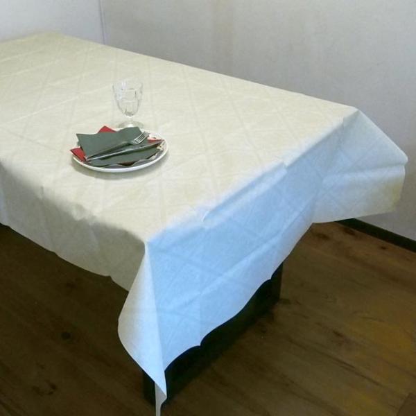 SCHON+ （シェーンプラス）テーブルクロス シャンパン 不織布 紙製