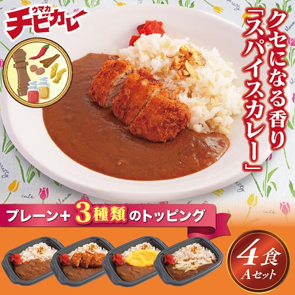 冷凍弁当 スパイスカレー 4食セットA 冷凍食品 カレーセット 美味しい