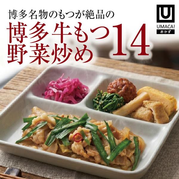 【福岡ご当地おかず】博多牛もつ野菜炒め14食セット