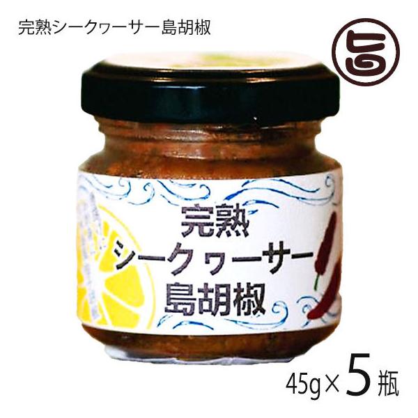 nV[N[T[Ӟ 45g×5{ AObgvē  lC yY  Ӟ V[N[T[ʔ