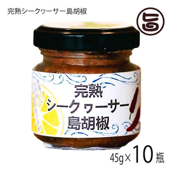 nV[N[T[Ӟ 45g×10{ AObgvē  lC yY  Ӟ V[N[T[ʔ