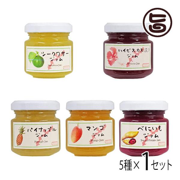 pCibv V[N[T[ nCrXJX }S ׂɂ 50g×e1r 5Zbg AiiXt[Y  lC yY W ꌧYޗgp