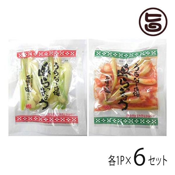 ꌧY 傤 Ђ L` e50g e1P×6Zbg łt[Y  C`IV ܂