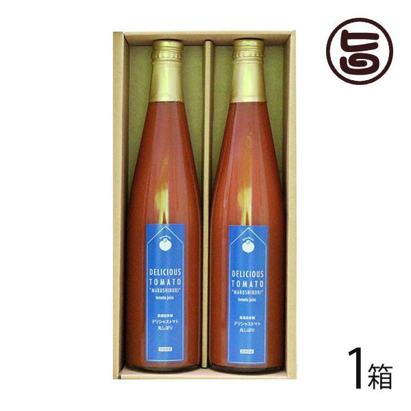 Mtg ϔ fVXg}gۂڂ 500g×2{×1 fVXt@[ { lC ؈ Y  x