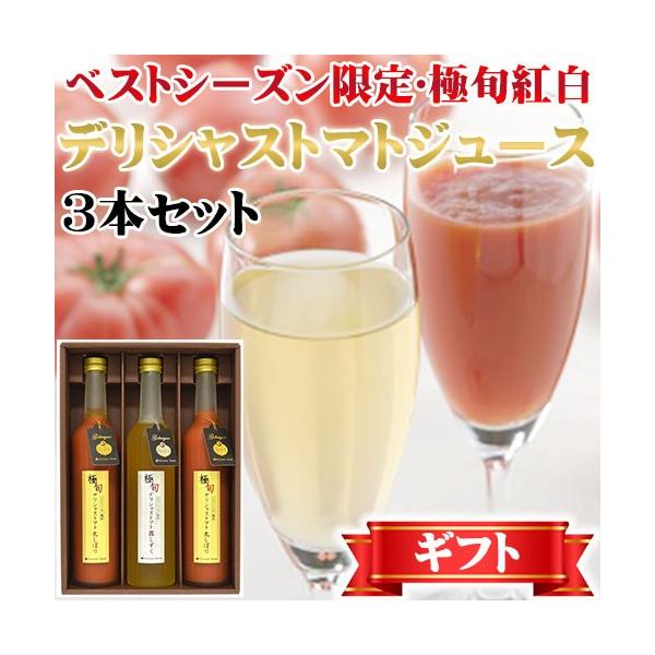 xXgV[Y ɏ{gfVXg}gW[X 3{Zbg { k x W[X