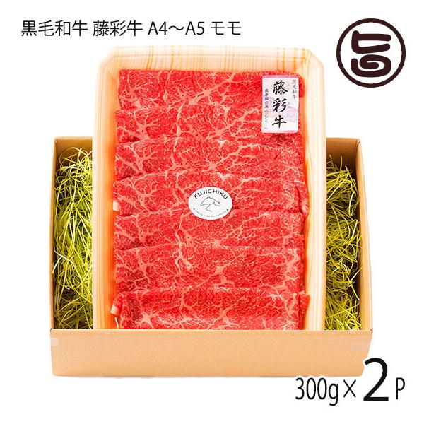 Mtg BYјa ʋ A4`A5  Ă Ԃԗp 300g×2P tW`N 4lO p yY i