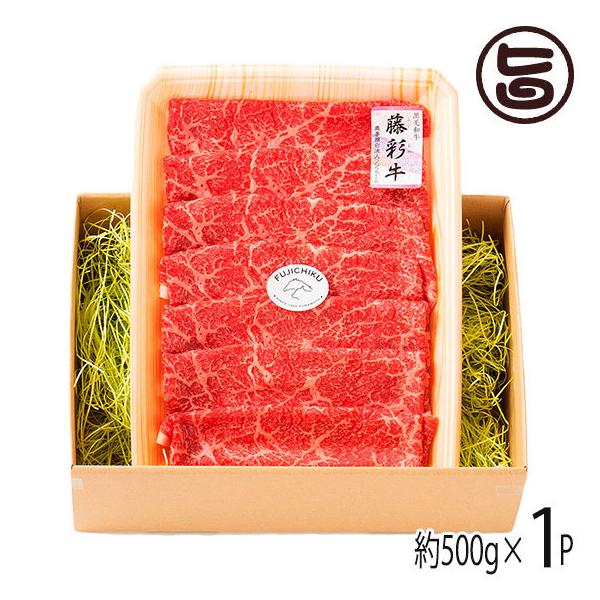 BYјa ʋ A4`A5  Ă Ԃԗp 500g×1P 3`4lO tW`N