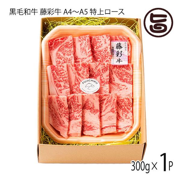 Mtg BYјa ʋ A4`A5 ネ[X ēp 300g×1P 2lO tW`N p yY i BBQ Ԍ