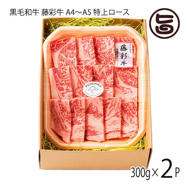 Mtg BYјa ʋ A4`A5 ネ[X ēp 300g×2P 4lO tW`N p yY i BBQ Ԍ