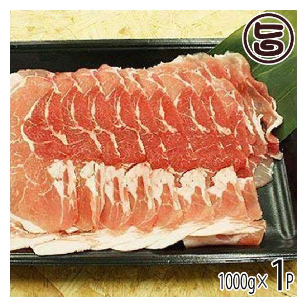 Mtg R()   Ԃԗp 1000g  yY lC