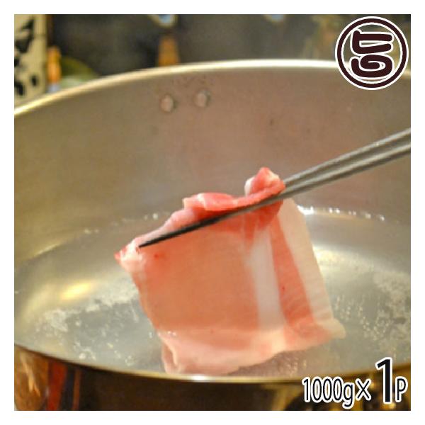 p R()   Ԃԗp 1g Ԑg^pN gÂJ[ȉꌧYؓ