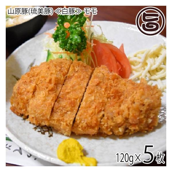 Mtg R() ᔒ؁  gJcp 120g×5 tbV~[gȂ  yY Md  Mtg