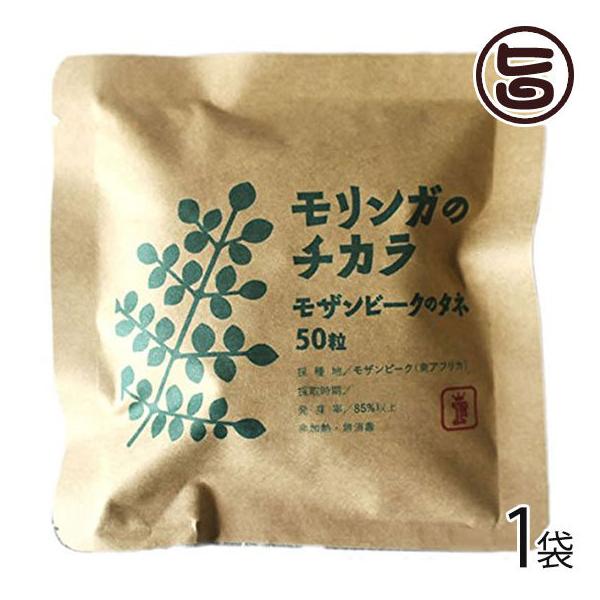 K̃`J Ur[Ñ^l 50×1 Free Our Soul K   yY Md Tv h{