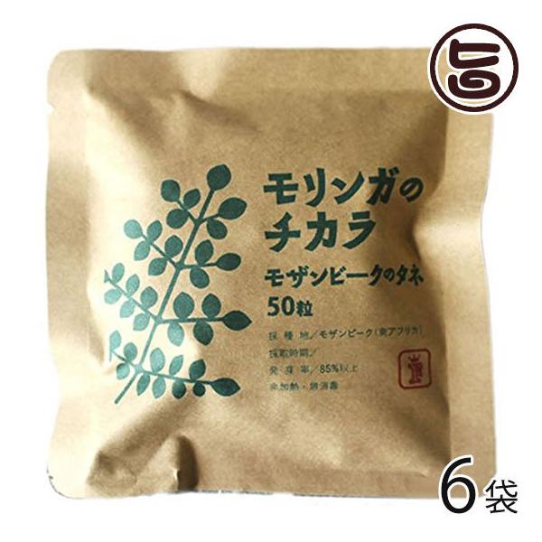 K̃`J Ur[Ñ^l 50×6 Free Our Soul K   yY Md Tv h{