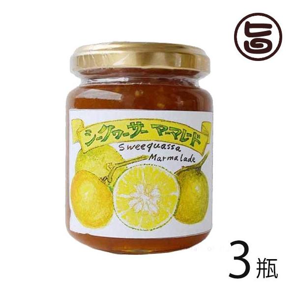 }[}[h V[N[T[ 140g×3r ̂WH[  yY V[N[T[ 炲 ꖡT }[}[h mr`