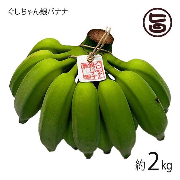  oii 2kg 14{O ꌧdY L@͔| _