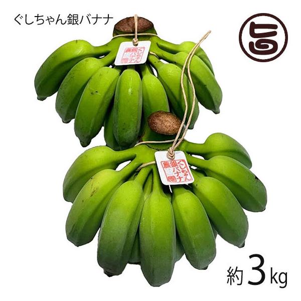  oii 3kg 20{O ꌧdY L@͔| _