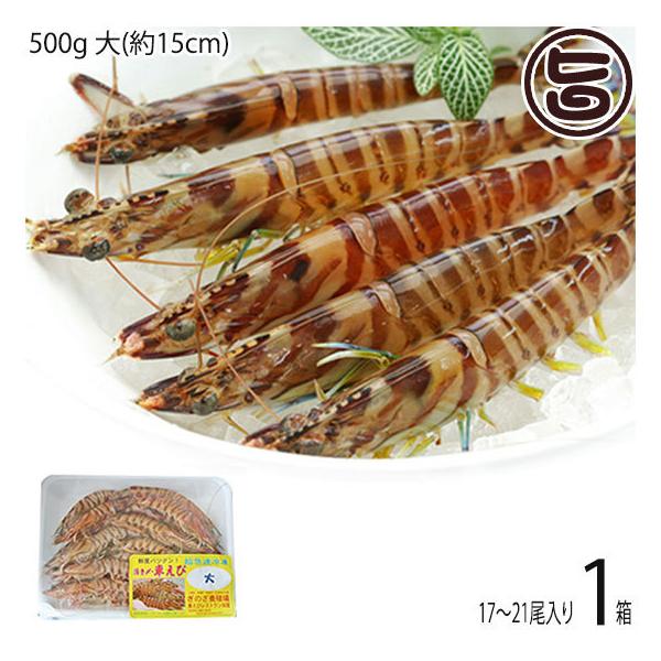 }Ⓚ XY Ԃ  500g (15cm) 17`21×1P X{B