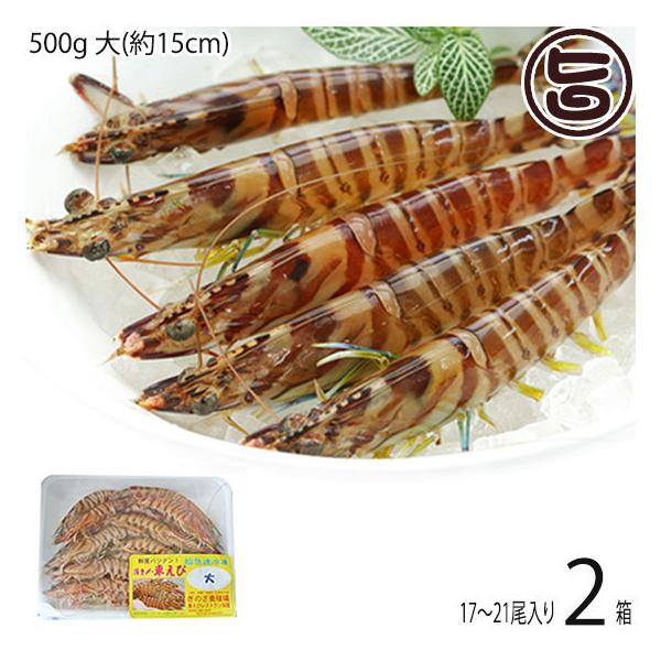 }Ⓚ XY Ԃ  500g (15cm) 17`21×2P X{B