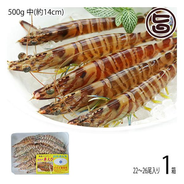 }Ⓚ XY Ԃ  500g (14cm) 22`26×1P X{B