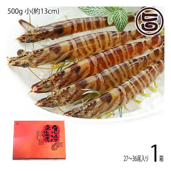 Mtg }Ⓚ XY Ԃ  500g (13cm) 27`36×1 X{B