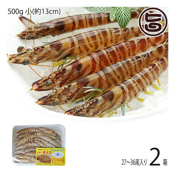 }Ⓚ XY Ԃ  500g (13cm) 27`36×2P X{B