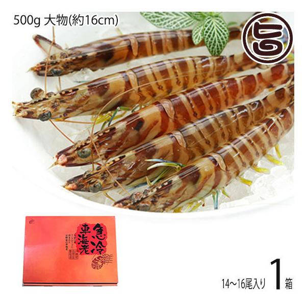 Mtg }Ⓚ XY Ԃ  500g 啨(16cm) 14`16×1 X{B