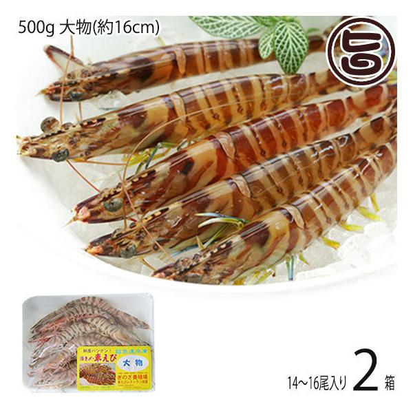 }Ⓚ XY Ԃ  500g 啨(16cm) 14`16×2P X{B