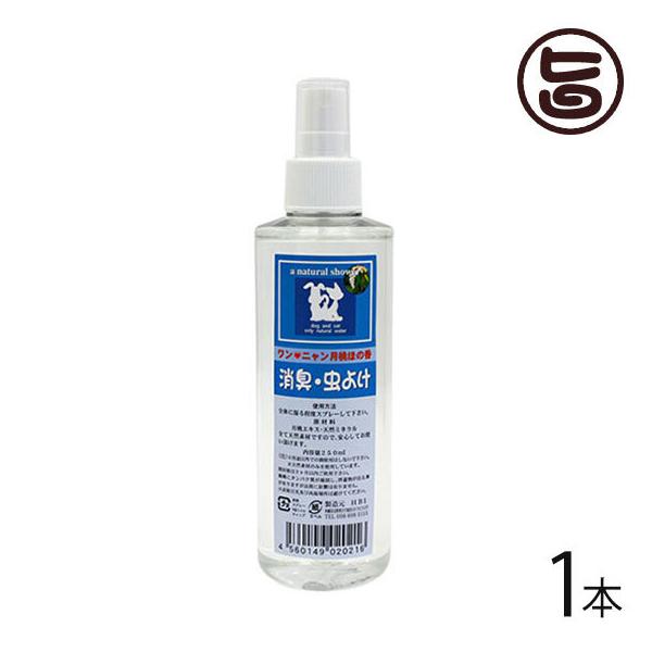 j ق̍ 250ml×1{ gEaEh Lp h L  ybg  S S