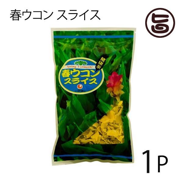 Ð tER XCX 100g×1P ꌧY _ t[N N~  Nێ