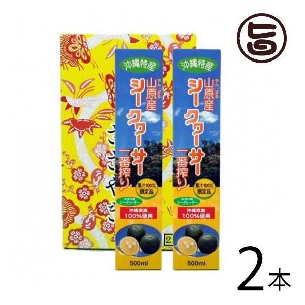 Mtg Y RV[N[T[1ԍMtgZbg 500ml×2{ kY ʏ`100% N 炲Ɗۍ ʓ mr`